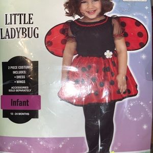 Lady bug Costume
